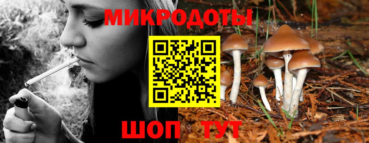 Псилоцибиновые грибы Psilocybine cubensis Кропоткин